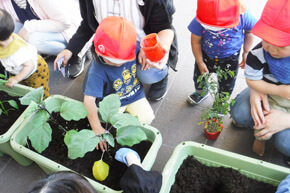 ちぬやキッズ：フォトグラフ